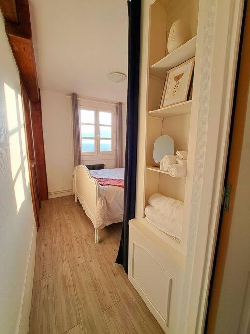 Charmant Duplex A Thiers, Vue Sur La Chaine Des Puys Экстерьер фото